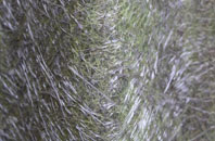 St Fergus fibreglass roof work